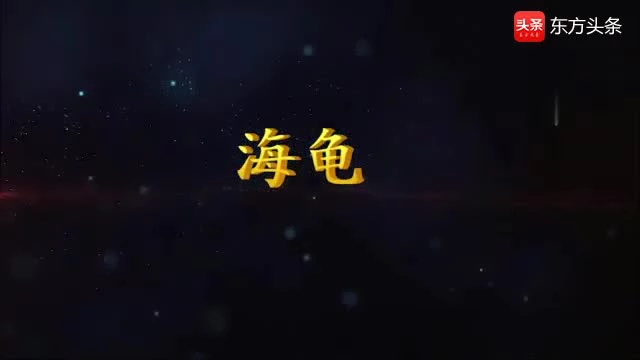 阿拉德之怒主播游戏
